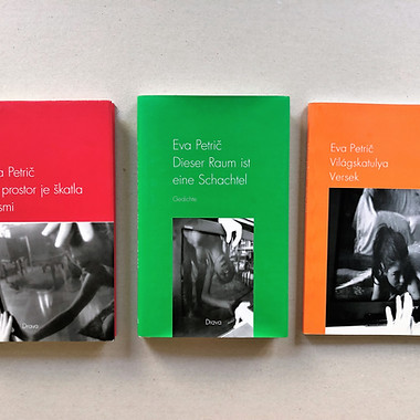 6. This space is a box, poetry collection.jpg