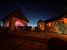 In the web of infinity loops