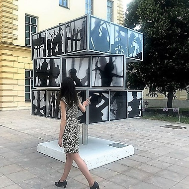 Rubik's cube of Recycled Shadows and emotions.jpg