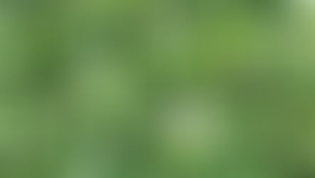 絆