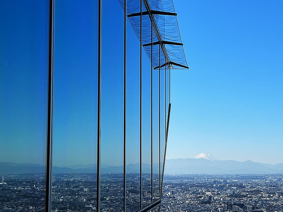 Shibuya Sky View Tokyo Fuji
