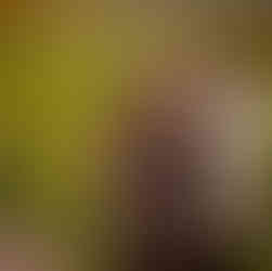 Maternity photo for fine art wall print from luxury maternity photographer Danielle West Photography 