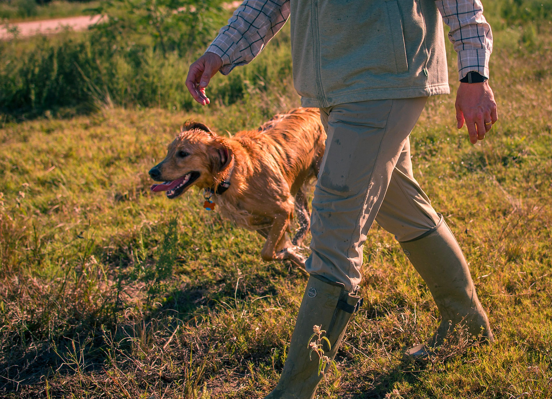 Photo of dog running next to owner while they walk through a field