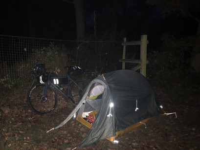 Into the wild (sort of)