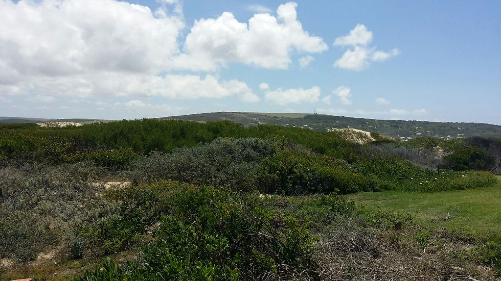 Scenery
