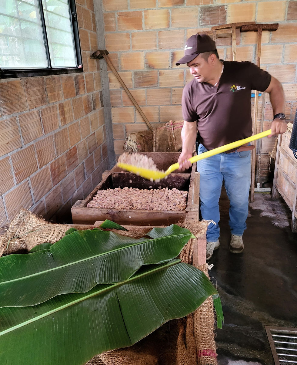 Miniature : Caquetá Dark 82%
