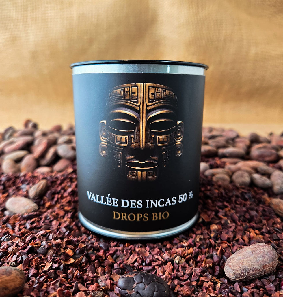 Drops Moulés Vallée Incas Dark Milk 50% Bio- 200g