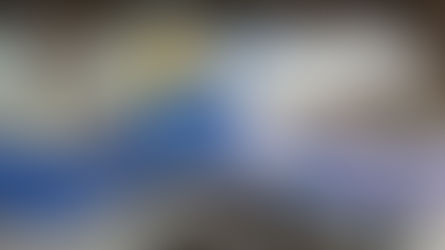 Art of Animation – Mr. Ray Icon