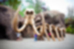 art of animation elephant bones