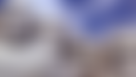 Mt Rushmore & Building to Impress