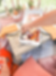 3e326b_310e79e1a22d406182b490e244029805_mv2.webp