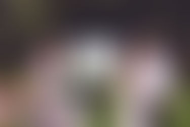 Why Choose Live Wedding Painting For Your Special Day