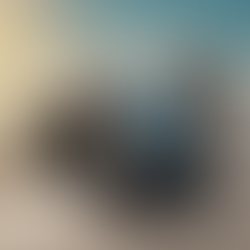 Affordable Window Solutions by Whitehead Windows