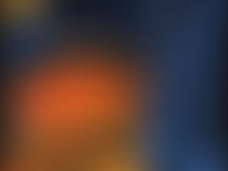 Why do we Fall Master Bruce?