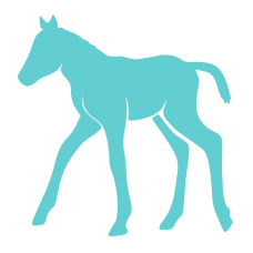 Untitled design (1)_edited.png