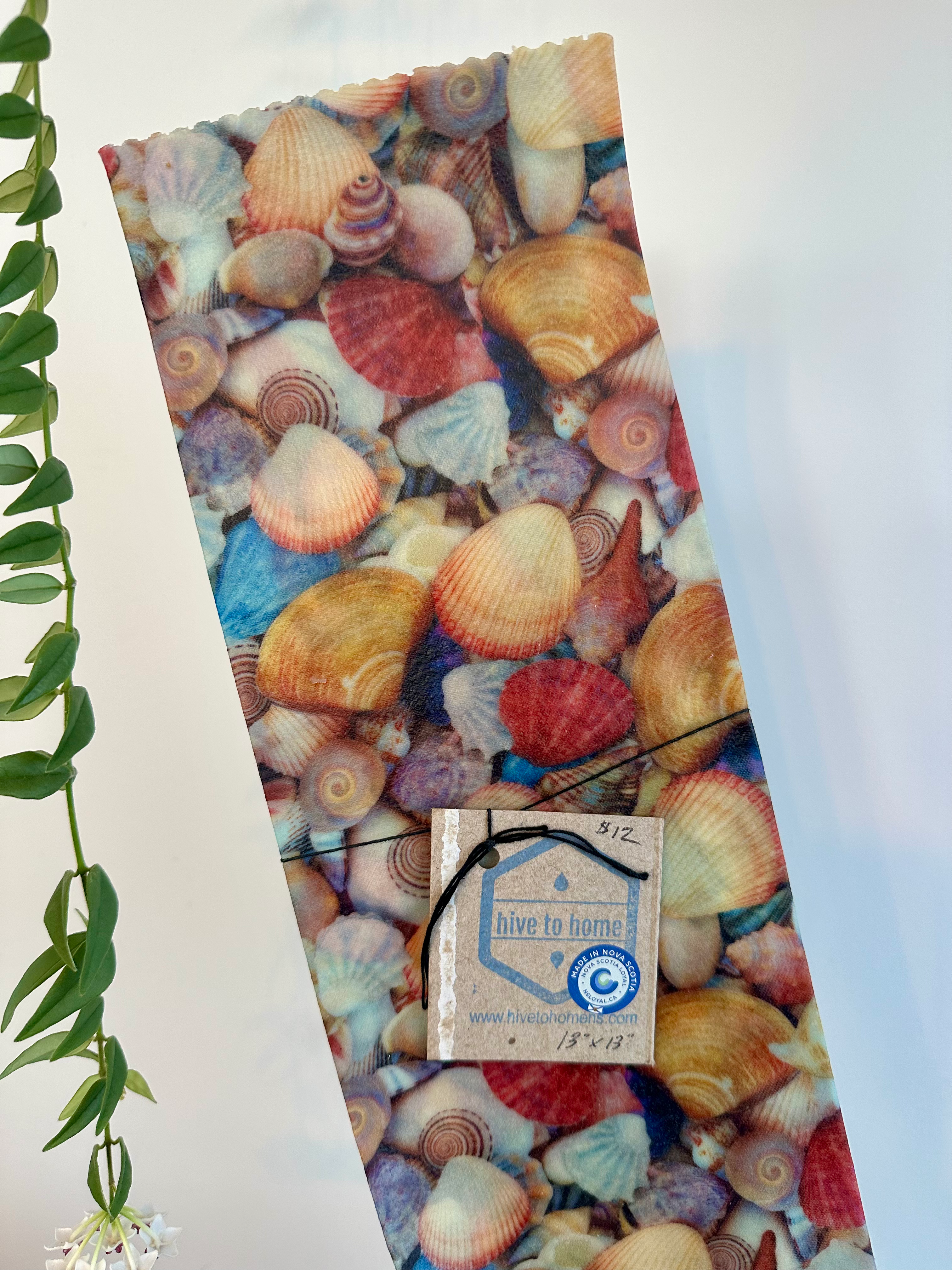Square Beeswax Wrap – 13″x13″ -Seashells