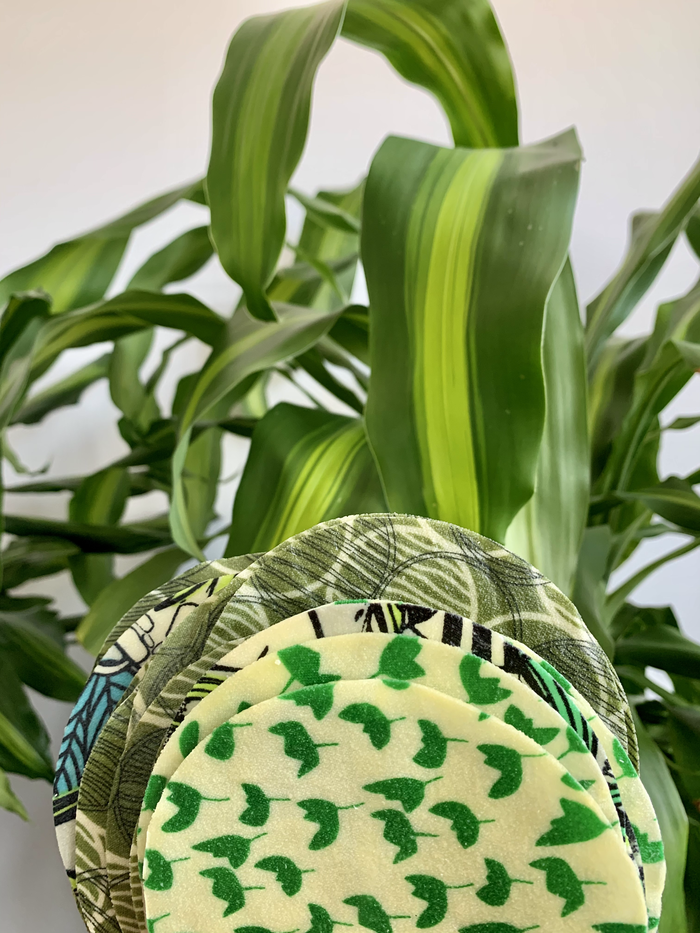 small green round beeswax wraps are held up in front of a lush green plant 