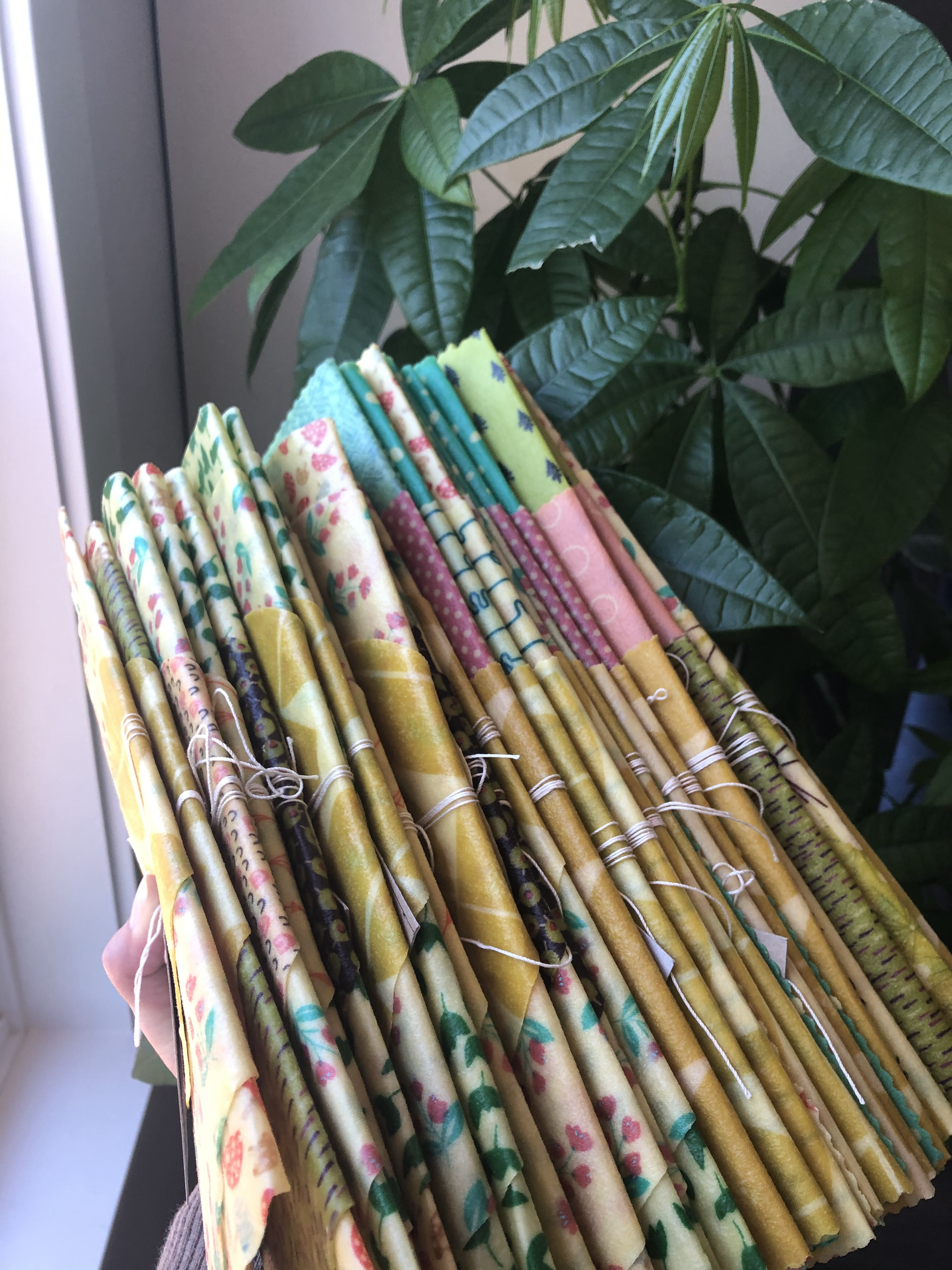 a handful of folded beeswax sets are held up in front of a money tree 