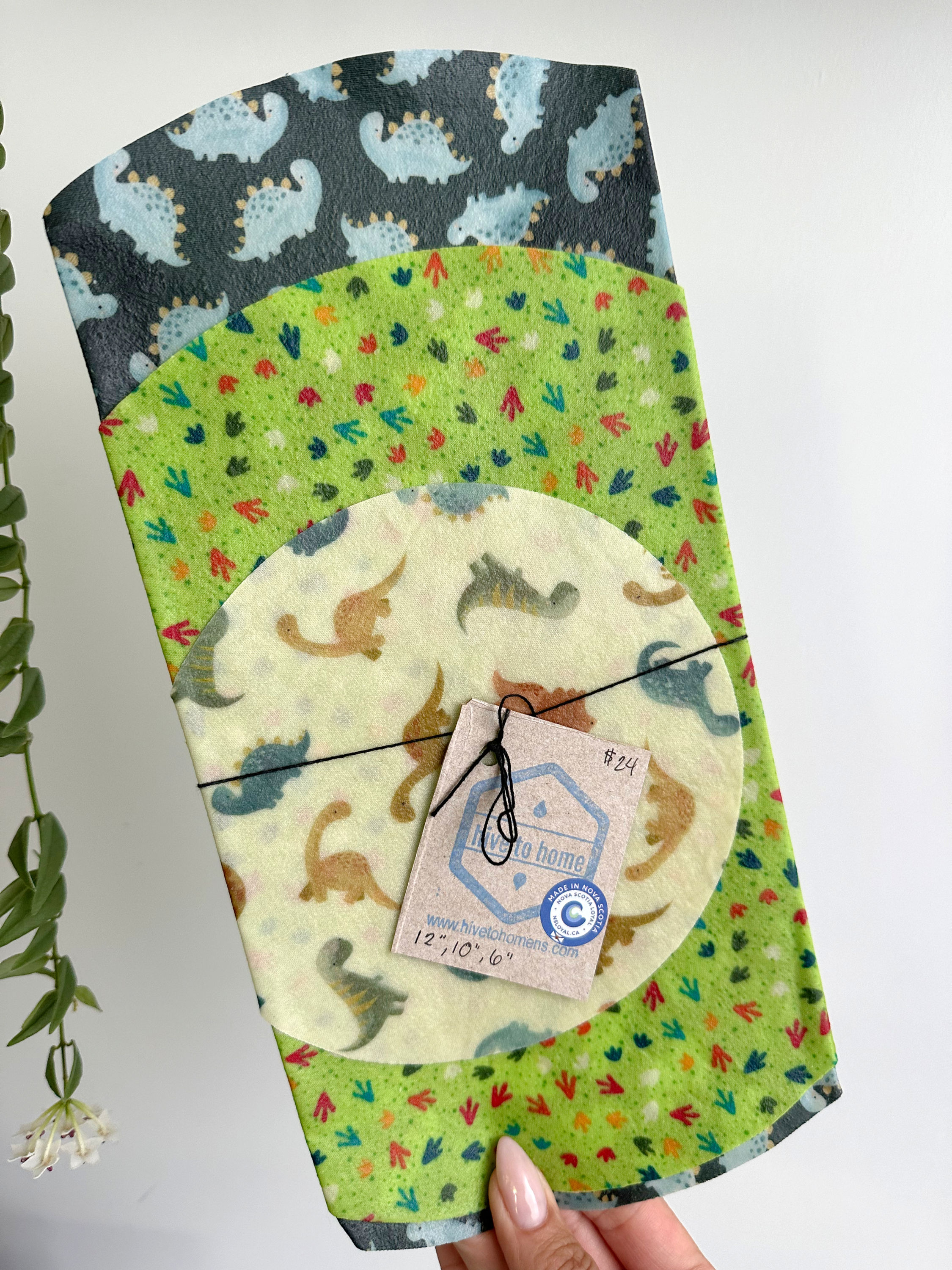 Round Beeswax Wrap Set (12", 10", 6") – Dinosaur Trio
