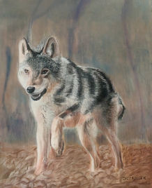 Sylvie MULLER pastel, Ateliers des Arts d'Argens 