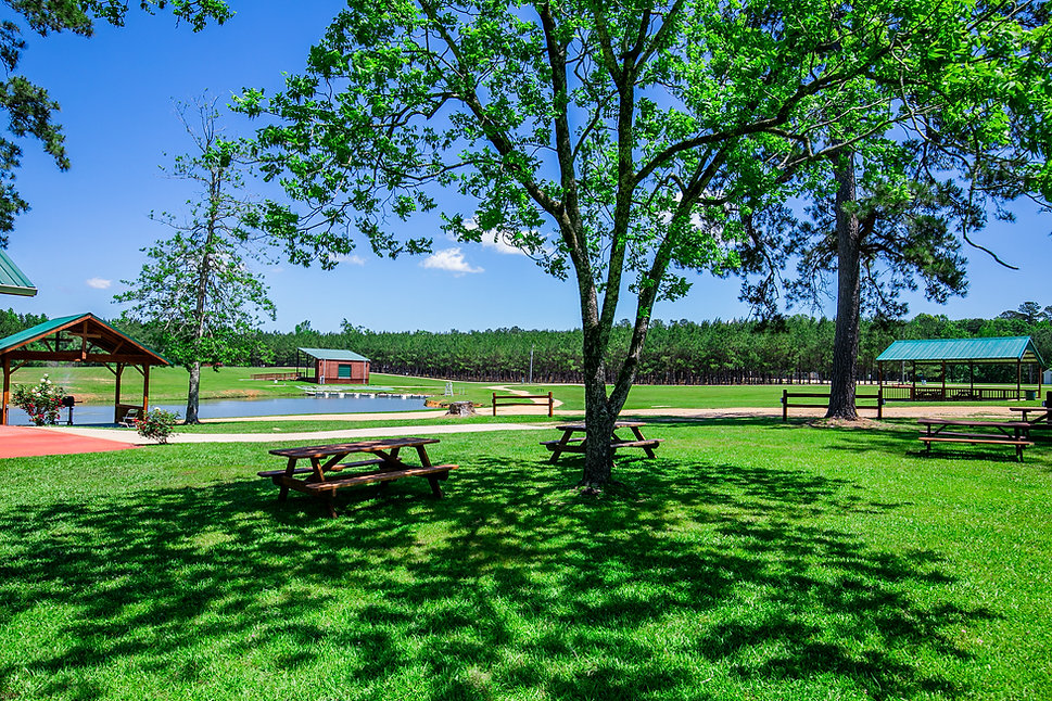 Home Lionkingretreat