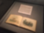 FDR Collection
