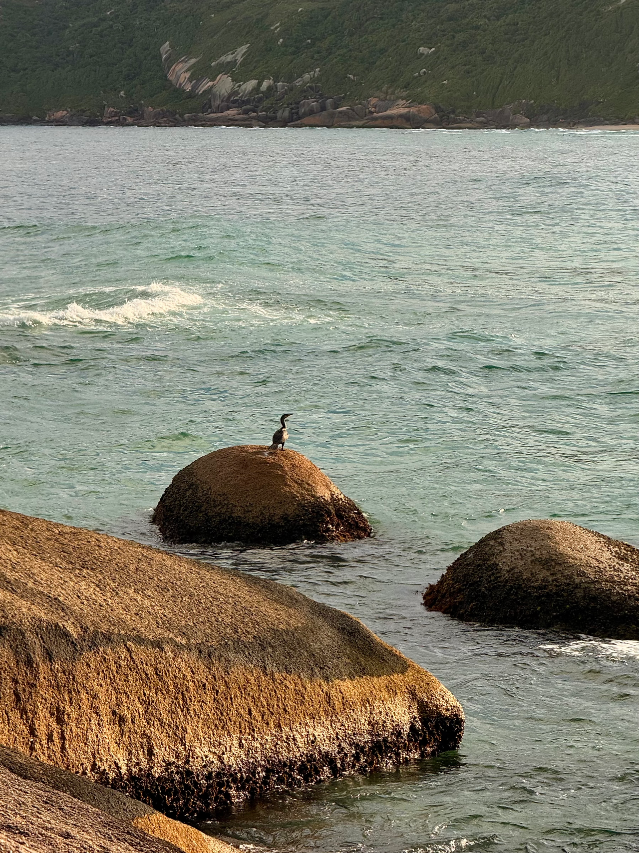 Beach combers
