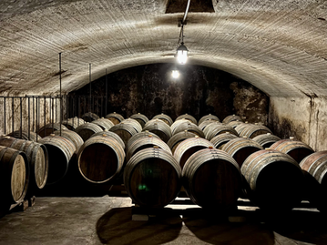 special barrells deep in the cellar at Bodegas Carrau