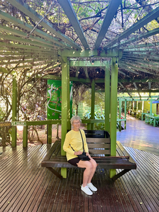 Catching some shade at the otherwise sunny Iguazu Falls