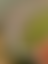 Forte Santana do Estreito from above