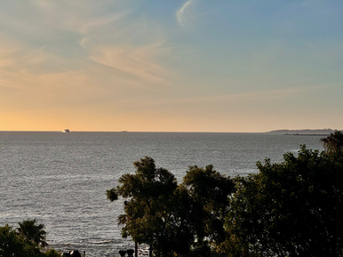 Buquebus ferry approaching Montevideo from Buenos Aires