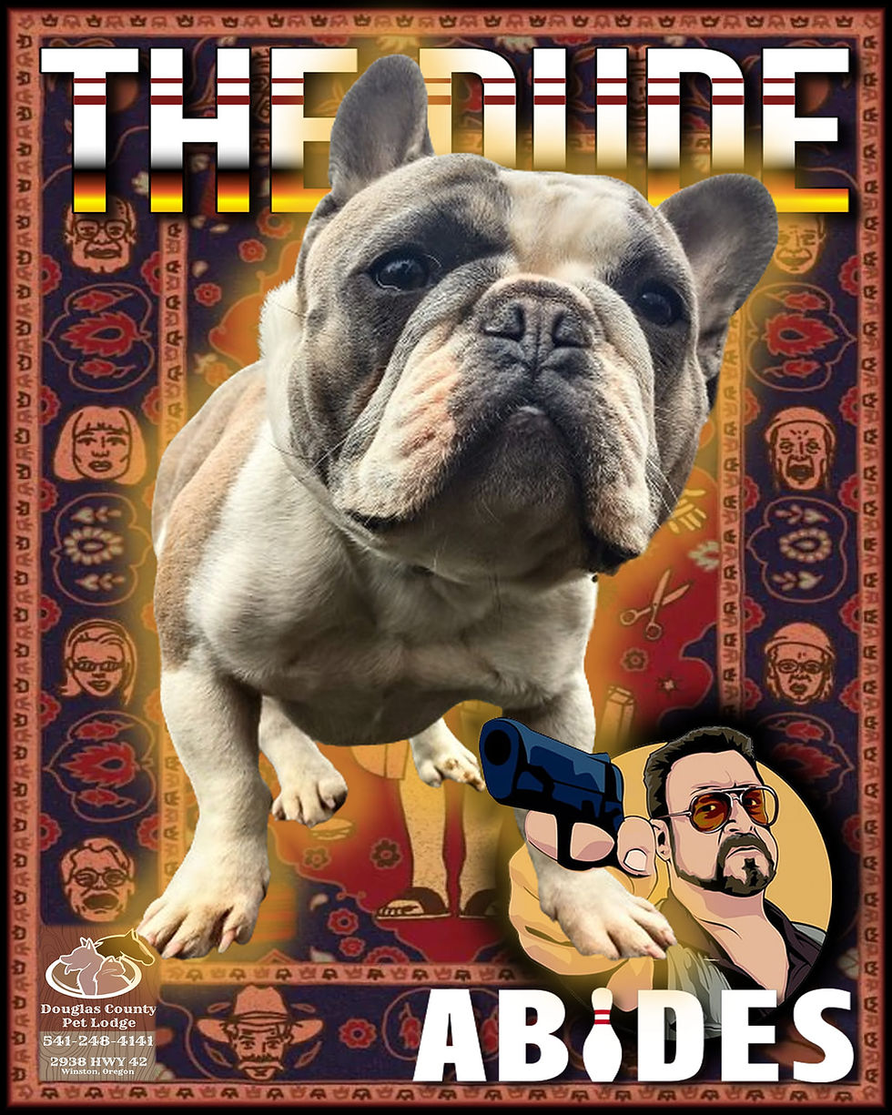 French Bulldog poster art by DC Pet Lodge