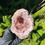 Thumbnail: Pink Amethyst Geode