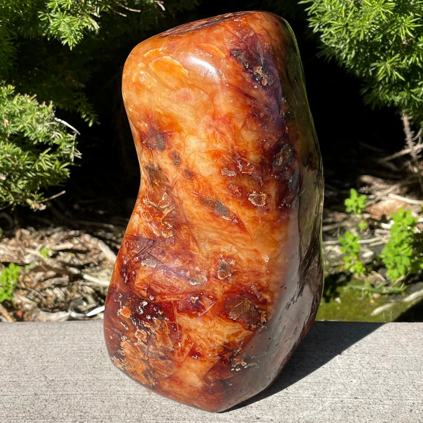 Carnelian Free Form