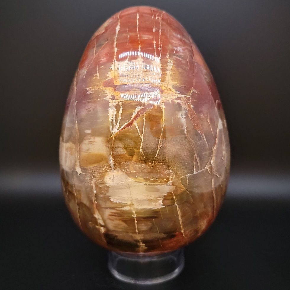 Thumbnail: Petrified Redwood Egg #8