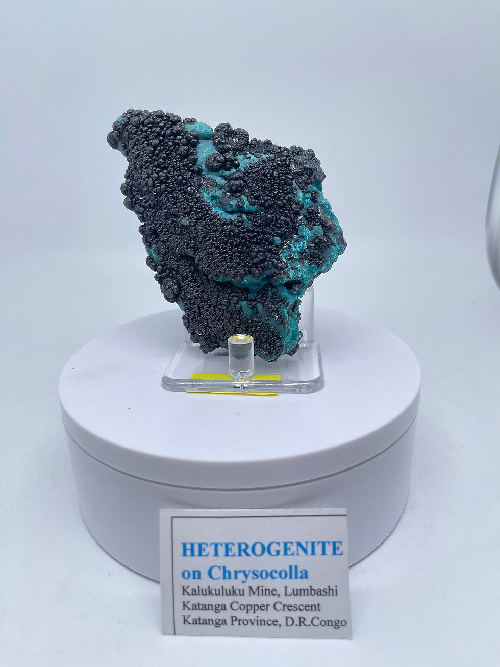 HETEROGENITE on Chrysocolla From Kalukuluku Mine, Congo. Rare Botryoidal