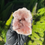 Thumbnail: Pink Amethyst Geode