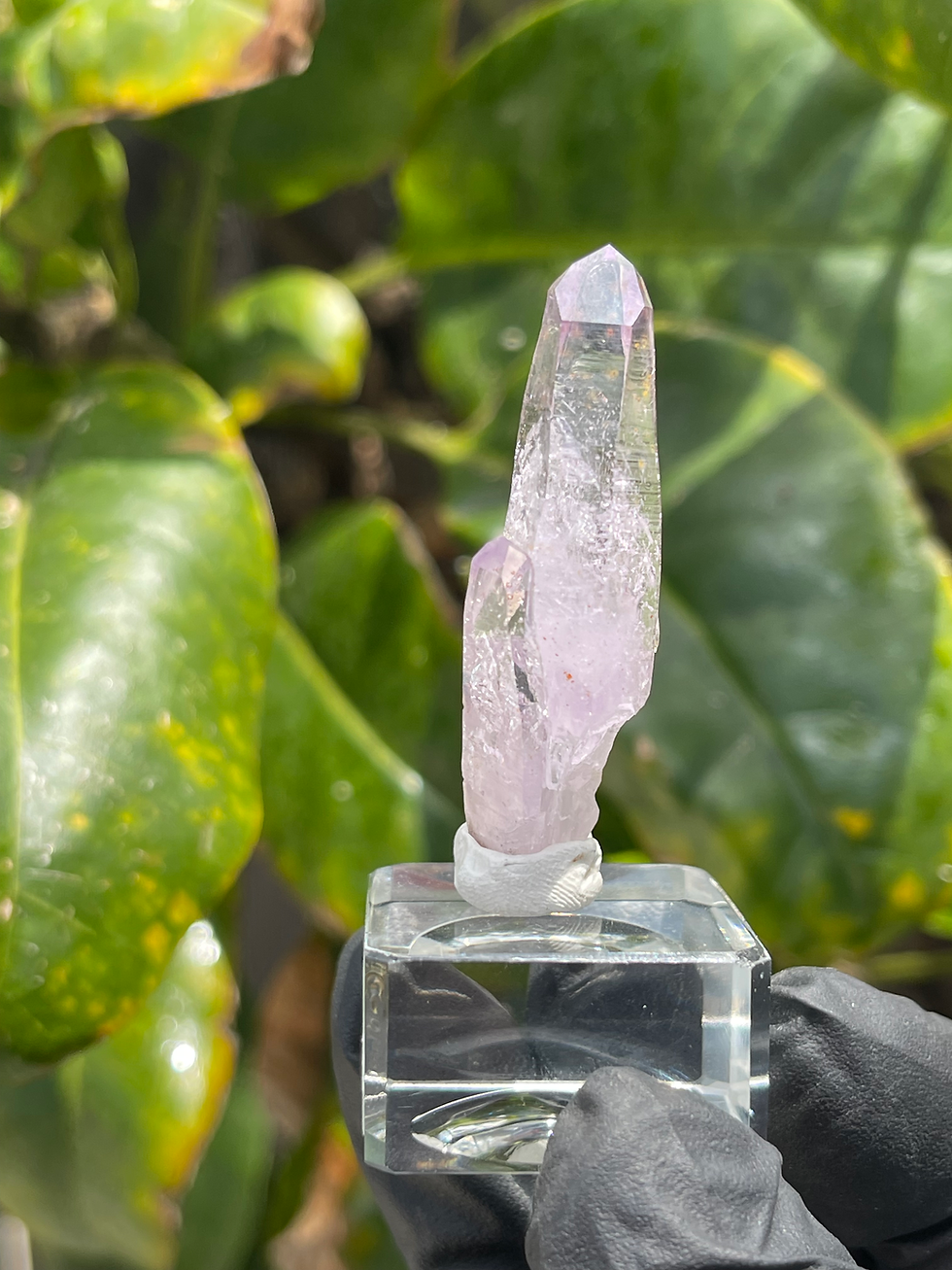 Thumbnail: Vera Cruz Amethyst 