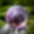 Thumbnail: Ametrine Sphere #3