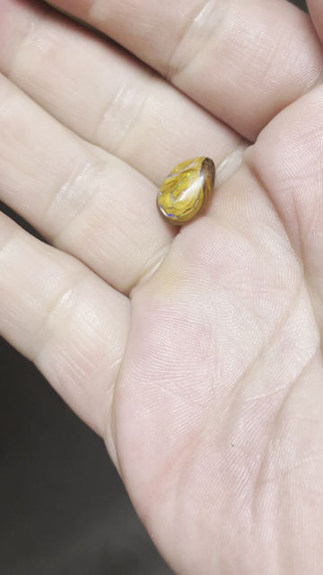 Thumbnail: Natural AUSTRALIA Koroit Boulder Opal Stone 4.8 CTs 14MM X 9MM + Video