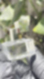 Thumbnail: Pyrite Cubes Natural from Spain 