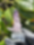 Thumbnail: Vera Cruz Amethyst 