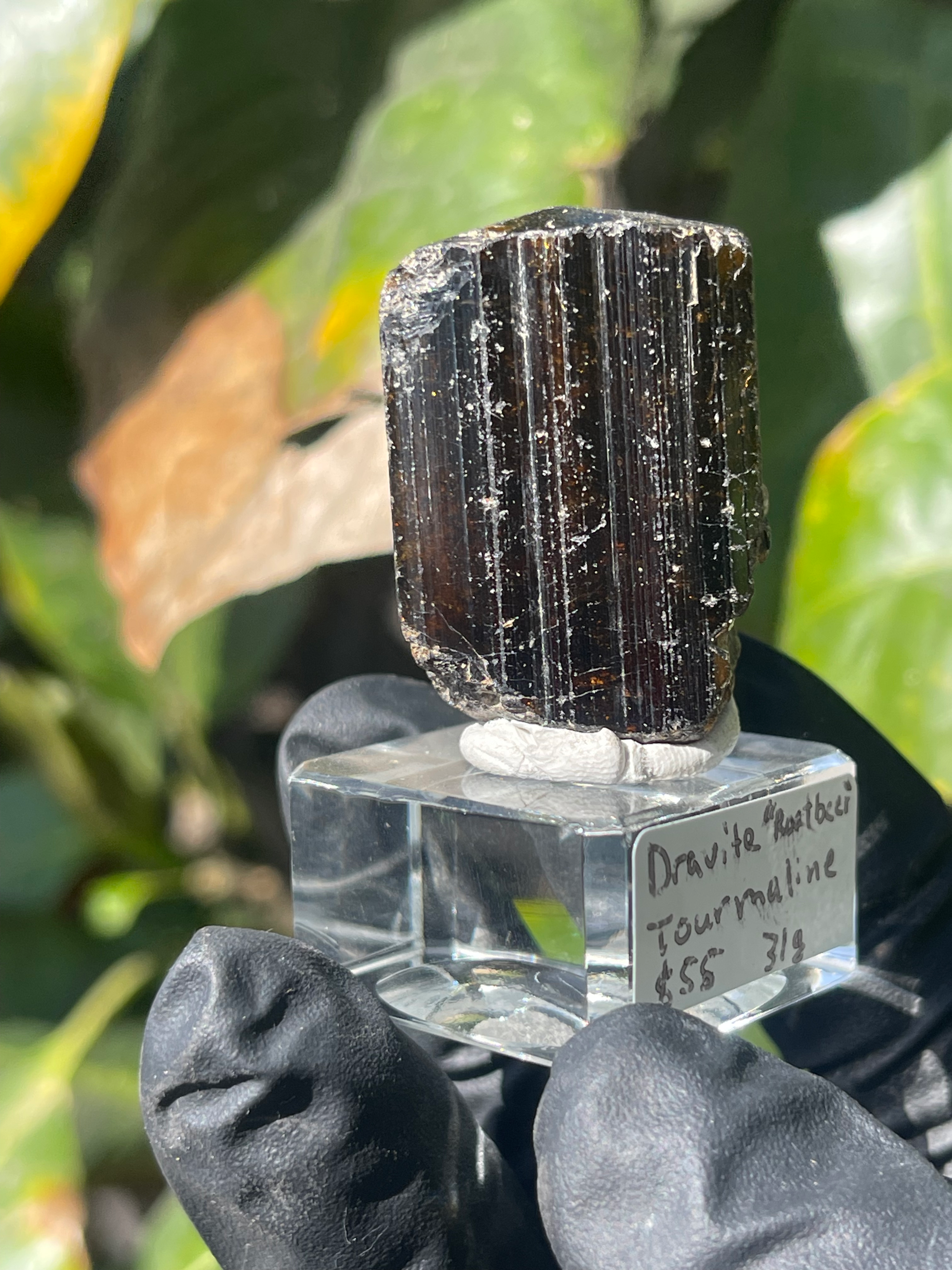 Dravite “Rootbeer” Tourmaline Brazil