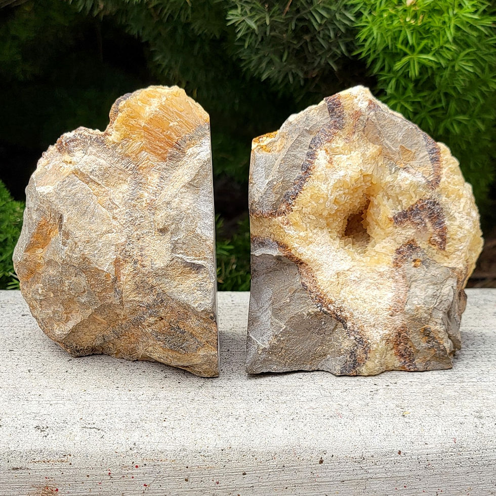 Thumbnail: Septarian Bookends #1