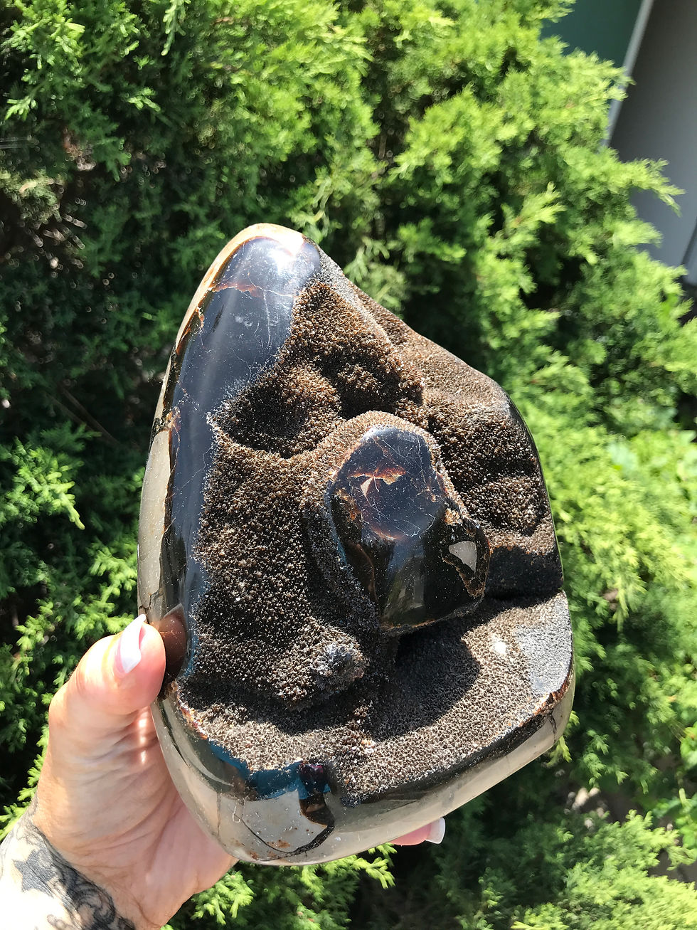 Thumbnail: Septarian w/ Druze