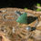 Thumbnail: Aventurine Crystal Pendulum