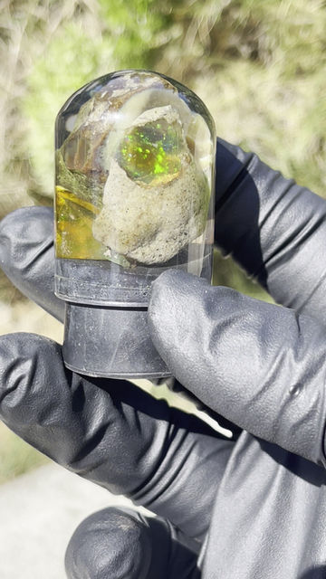 Thumbnail: Ethiopian Water Opal 3pcs w/ Glass Dome 2” extra wide 
