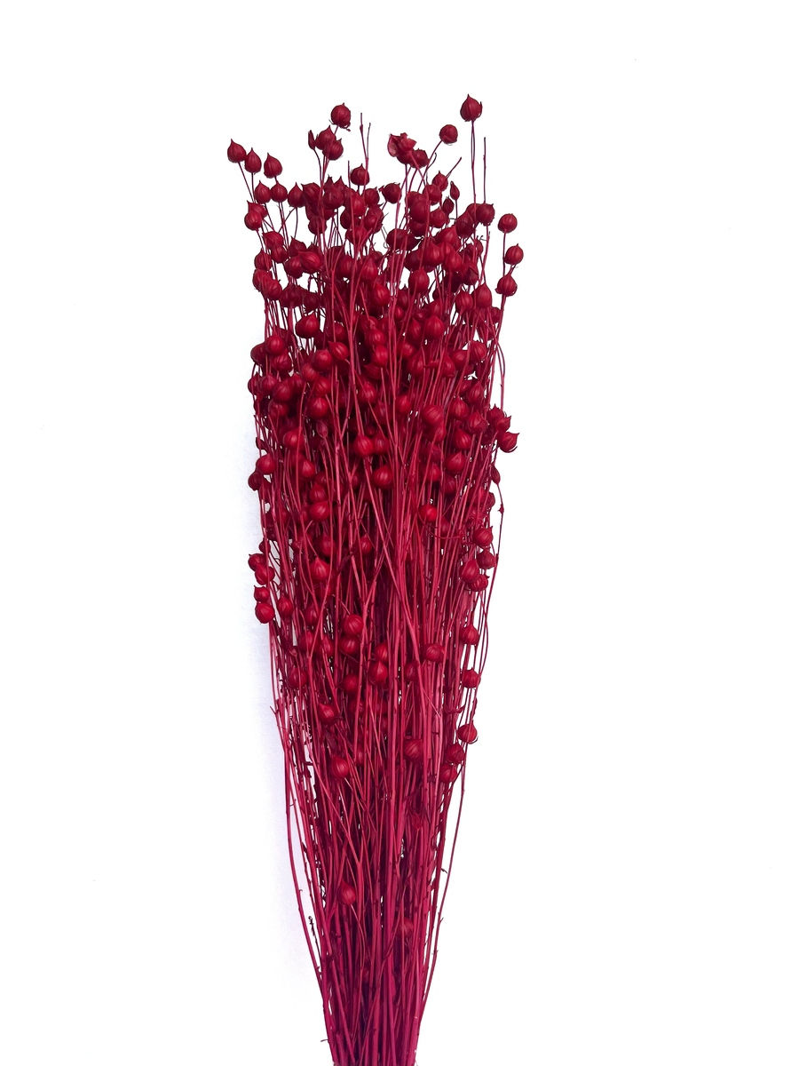 Thumbnail: Preserved Linseed Bunch | 3 Colours Available