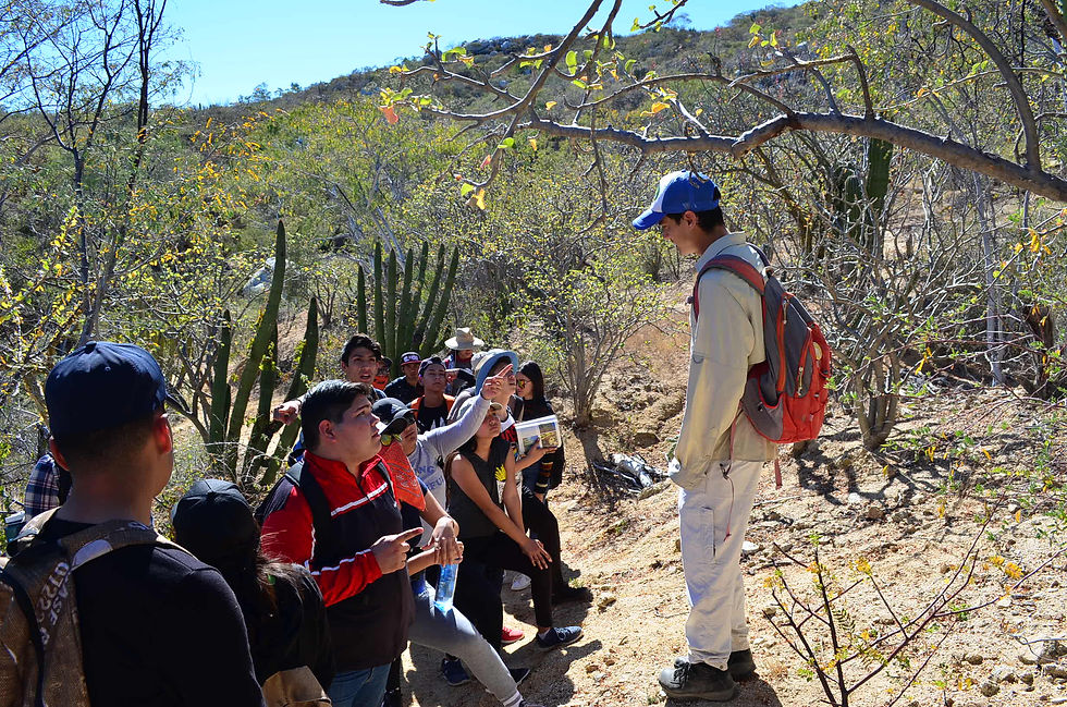 EPI Students' Desert Hike