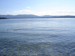 DSC08401